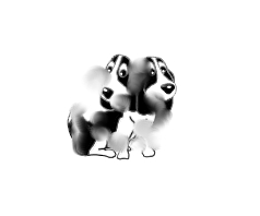 two headed puppy smudged in the southern california rains