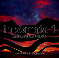 cool album cover for in somnia